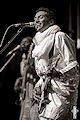 Bombino