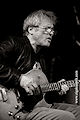 Marc Ribot: Really The Blues