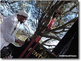 Omar Sosa, Paolo Fresu - photo by Roberto Cifarelli